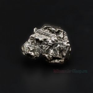Осколок железного метеорита "Кампо-дель-Сьело"